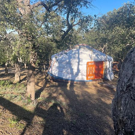Au Soleil Mongol Bed & Breakfast Sorède Dış mekan fotoğraf