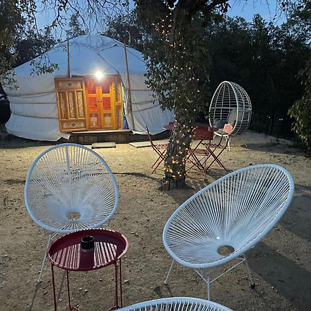 Au Soleil Mongol Bed & Breakfast Sorède Dış mekan fotoğraf