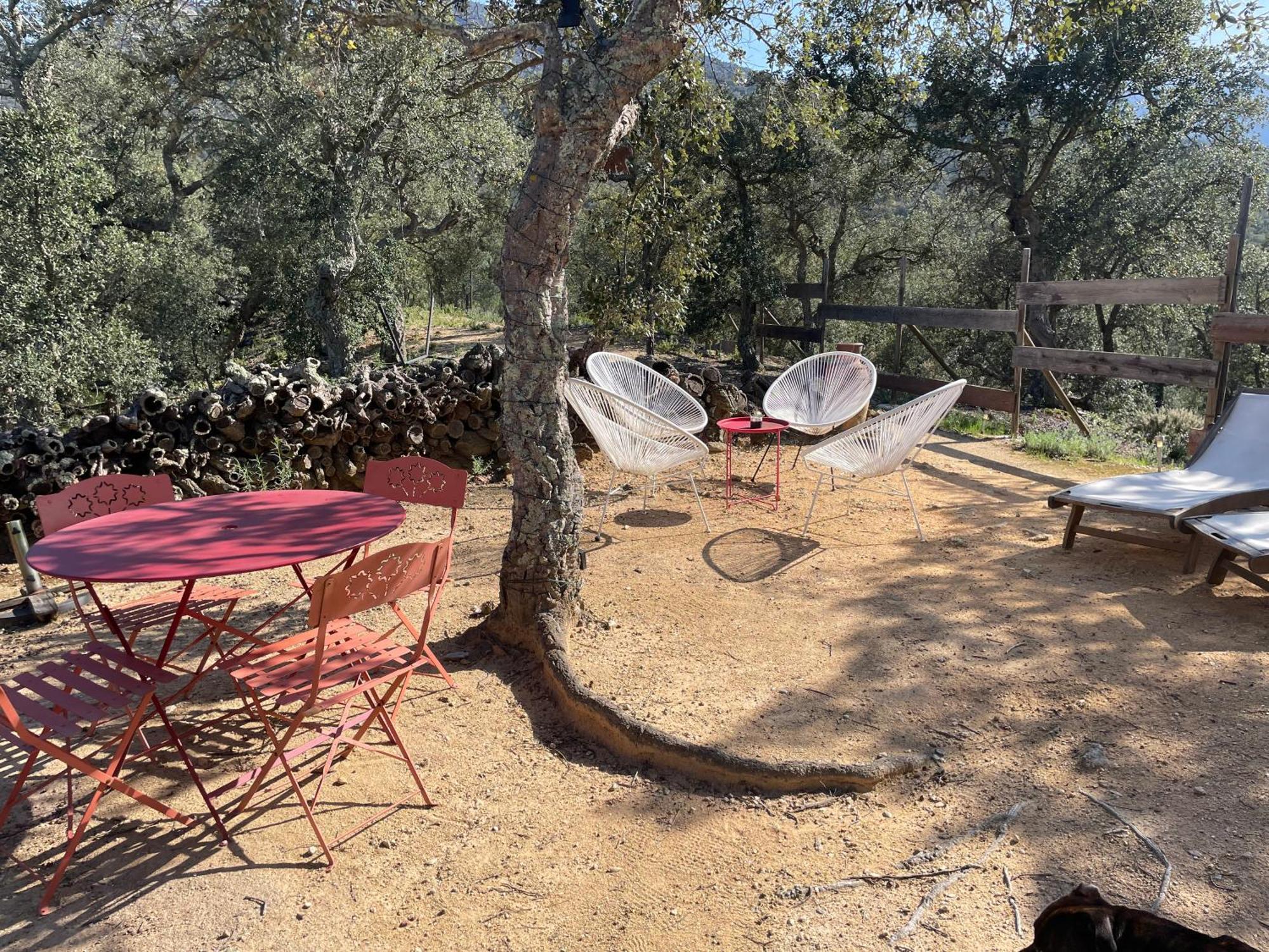 Au Soleil Mongol Bed & Breakfast Sorède Dış mekan fotoğraf