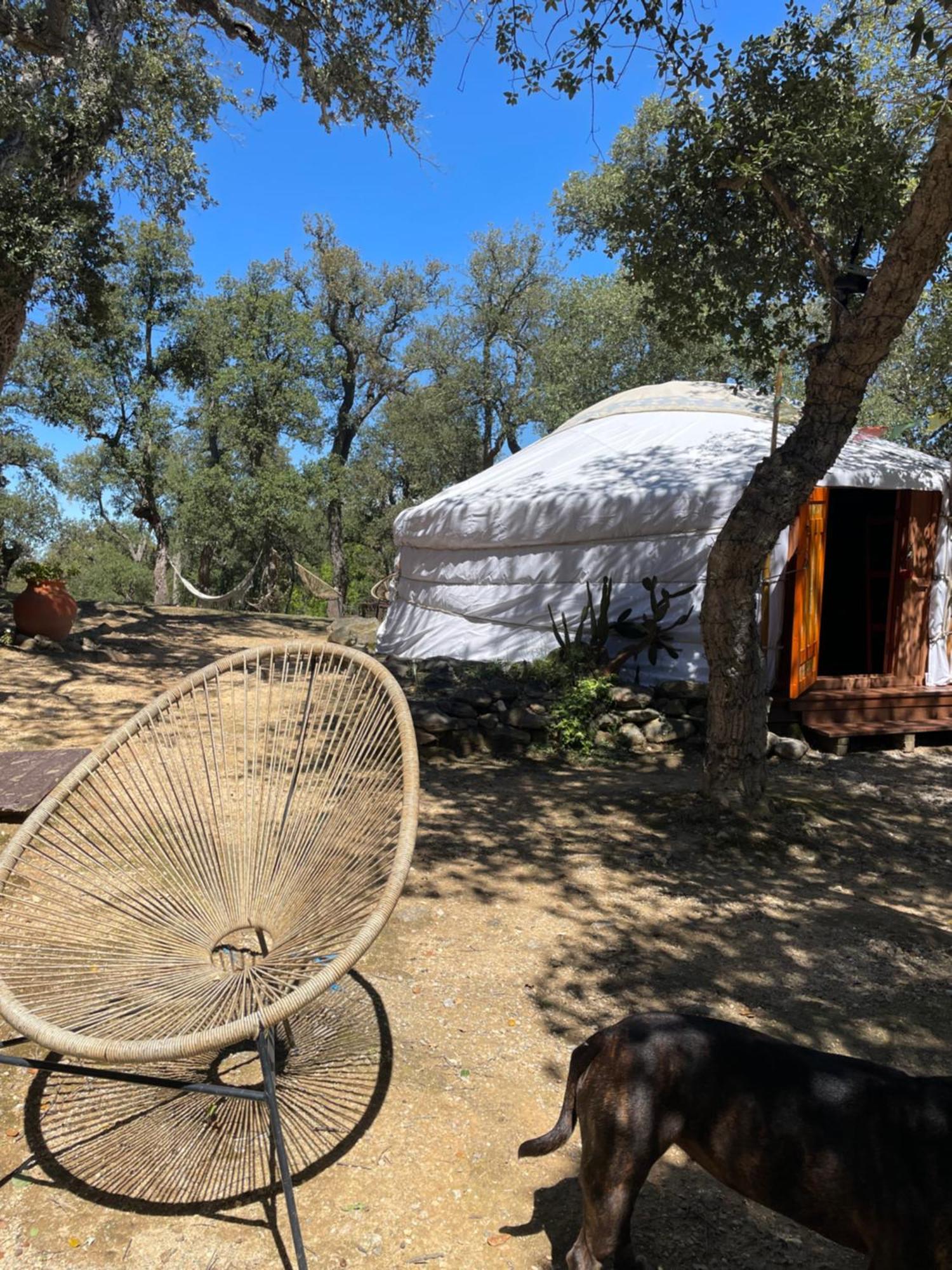 Au Soleil Mongol Bed & Breakfast Sorède Dış mekan fotoğraf