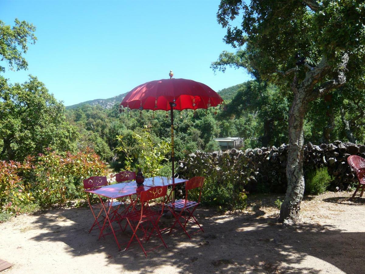 Au Soleil Mongol Bed & Breakfast Sorède Dış mekan fotoğraf